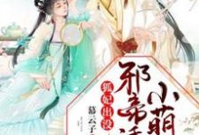 狐妃出没：邪帝诱宠小萌妃祁云初圣月邪，狐妃出没：邪帝诱宠小萌妃章节在线阅读-经典文学