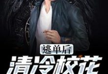 小说《逃单后,清冷校花她后悔了》在线章节阅读-经典文学