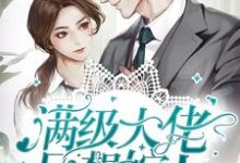 苏芩傅夜天的小说在哪里看?免费在线阅读满级大佬只想嫁人-经典文学