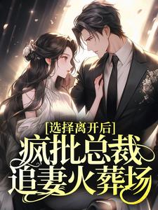 完结版《选择离开后，疯批总裁追妻火葬场》章节阅读