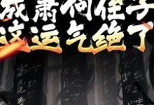小说《开局成萧何侄子,这运气绝了》在线章节阅读-经典文学
