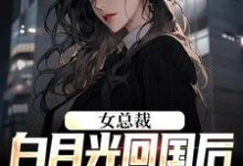 完整版的女总裁白月光回国后,我选择离小说在哪里可以免费读到?-经典文学