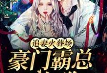 追妻火葬场:豪门霸总不如狗小说无弹窗阅读的网站推荐-经典文学