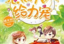 已完结小说《1胎2宝:总裁大人,给力宠》章节在线阅读-经典文学
