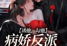 诱他，勾他，病娇反派快上钩小说，诱他，勾他，病娇反派快上钩章节在线阅读-经典文学