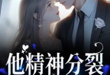 完结版《他精神分裂，但和你契合》章节阅读-经典文学