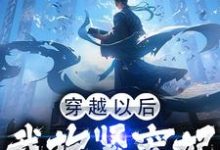 求穿越以后,我抱紧宠妃姐姐的大腿小说免费资源-经典文学