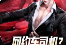 《网约车司机?我可是马路判官》全集免费在线阅读(江安韩相宜)-经典文学