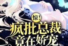 完结版《惊!疯批总裁竟在娇宠入狱罪妻》章节阅读-经典文学