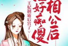 寻找能够免费阅读治好痴傻相公后，王妃制霸后宫了小说的平台-经典文学