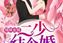错嫁金婚:二少,结个婚?杨柒贺逸宁冯曼伦小说免费阅读-经典文学