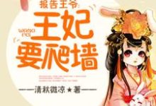 报告王爷,王妃要爬墙免费阅读,报告王爷,王妃要爬墙章节在线阅读-经典文学