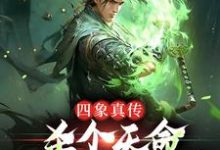 四象真传,杀个天命不是简简单单楚轻舟小说在线章节免费阅读-经典文学