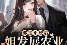 绑定系统后，姐发展农业让国家繁荣小说，绑定系统后，姐发展农业让国家繁荣苏浅景湛-经典文学