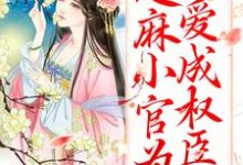 免费在线阅读甜宠：芝麻小官为爱成权臣了小说的正规网站有哪些？-经典文学
