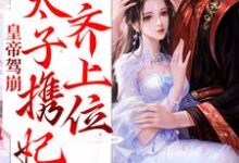 哪里能找到皇帝驾崩,太子携妃齐上位小说的全部章节?-经典文学