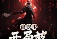 主人公叫苏岩林黛青的小说锦衣卫:开局被官府爆打在线阅读章节-经典文学