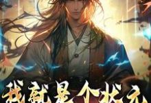 想读吴道玄的故事，哪里可以免费找到我就是个状元，你让我斩妖？？-经典文学