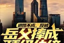 退婚不成，反被岳父捧成顶级纨绔小说的所有章节都能在哪里免费读到？-经典文学
