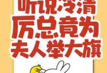 林晚晚厉司寒的完整故事在哪里？读听说冷清厉总竟为夫人举大旗！小说-经典文学