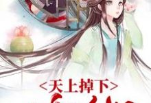 天上掉下一个媳妇主角 温媛沈文德小说完结版章节在线阅读-经典文学