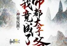 神豪反派：我竟成了帝都太子爷小说全文阅读需要付费吗？寻找免费资源-经典文学