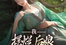 我，摆烂后娘，主打混吃等死沈幼安顾承泽在线章节免费阅读-经典文学