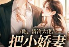免费看他,清冷大佬,把小娇妻宠成宝小说的网站有哪些?-经典文学