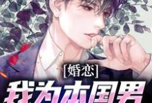 婚恋:我为本国男生找洋美人小说的最新章节在哪里更新?免费追踪阅读-经典文学