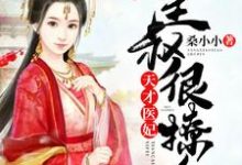 完结版《天才医妃：皇叔很撩人》章节目录在线阅读-经典文学