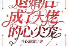 退婚后成了大佬的心尖宠小说的无弹窗阅读体验,寻找免费阅读网站-经典文学