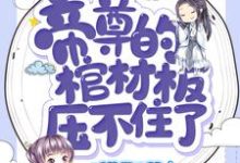 帝尊的棺材板压不住了楚晚璃帝璃渊小说免费阅读-经典文学