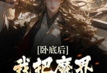 免费阅读沈逸尘为主角的小说,卧底后,我把魔界圣女拿下了在线看-经典文学