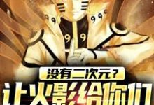 没有二次元?让火影给你们一点震撼向阳小说大结局免费试读-经典文学