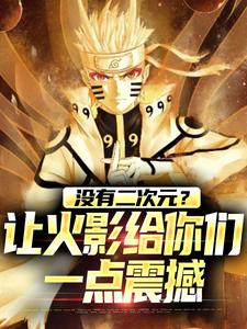 没有二次元？让火影给你们一点震撼向阳小说大结局免费试读