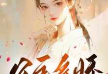 公主多娇,引得王爷折腰小说的无弹窗阅读体验,寻找免费阅读网站-经典文学