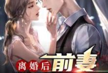 已完结小说《离婚后，前妻跪求原谅》章节免费阅读-经典文学
