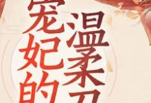 宠妃的温柔刀小说有没有完整的免费版本在线阅读?-经典文学
