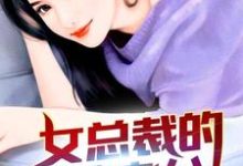 女总裁的冒牌老公小说的无弹窗阅读体验，寻找免费阅读网站-经典文学