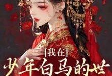 苏澈百里东君为主角的小说我在少年白马的世界里抽奖练武在线阅读-经典文学