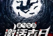 免费阅读苏辰为主角的小说，灵气复苏：激活末日求生系统在线看-经典文学