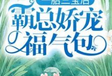 求陆北城江如意小说免费资源-经典文学