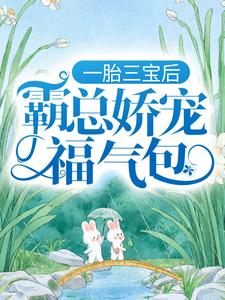 求陆北城江如意小说免费资源
