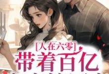 沈明珠顾奕铭小说叫什么（人在六零：带着百亿家产嫁军官免费阅读）-经典文学