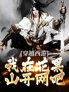 在线寻找苏辰的小说，穿越西游，我在花果山开网吧免费阅读