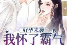 免费阅读陈晓莹顾城为主角的小说，好孕来袭：我怀了霸气军官的崽子在线看-经典文学