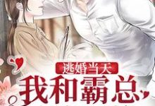 逃婚当天,我和霸总灵魂互换小说,逃婚当天,我和霸总灵魂互换在线阅读-经典文学