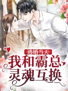 逃婚当天，我和霸总灵魂互换小说，逃婚当天，我和霸总灵魂互换在线阅读