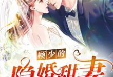 《顾少的隐婚甜妻》小说章节章节免费在线阅读-经典文学