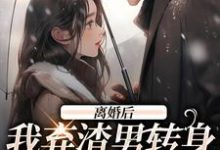 离婚后，我弃渣男转身嫁禁欲大佬季晚樱燕北臣小说免费阅读-经典文学